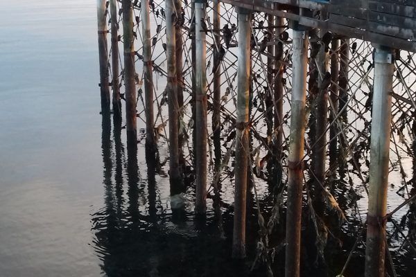 20170806_174026