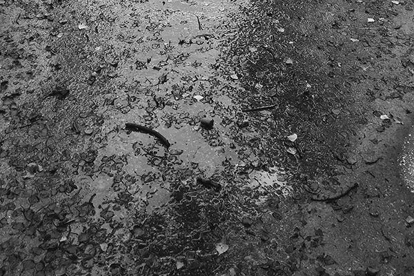 20200831_185840_DOWN