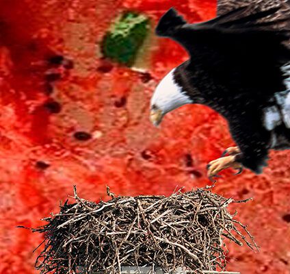 ACCIONES FASCISMO 3